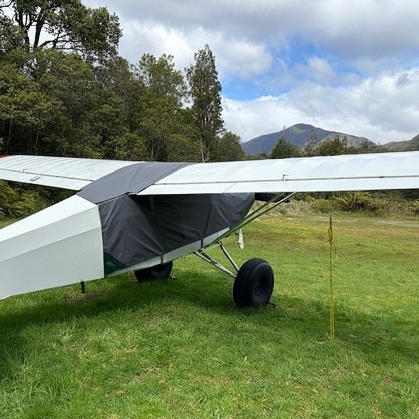 piper-pacer-aircraft-with-bush-background